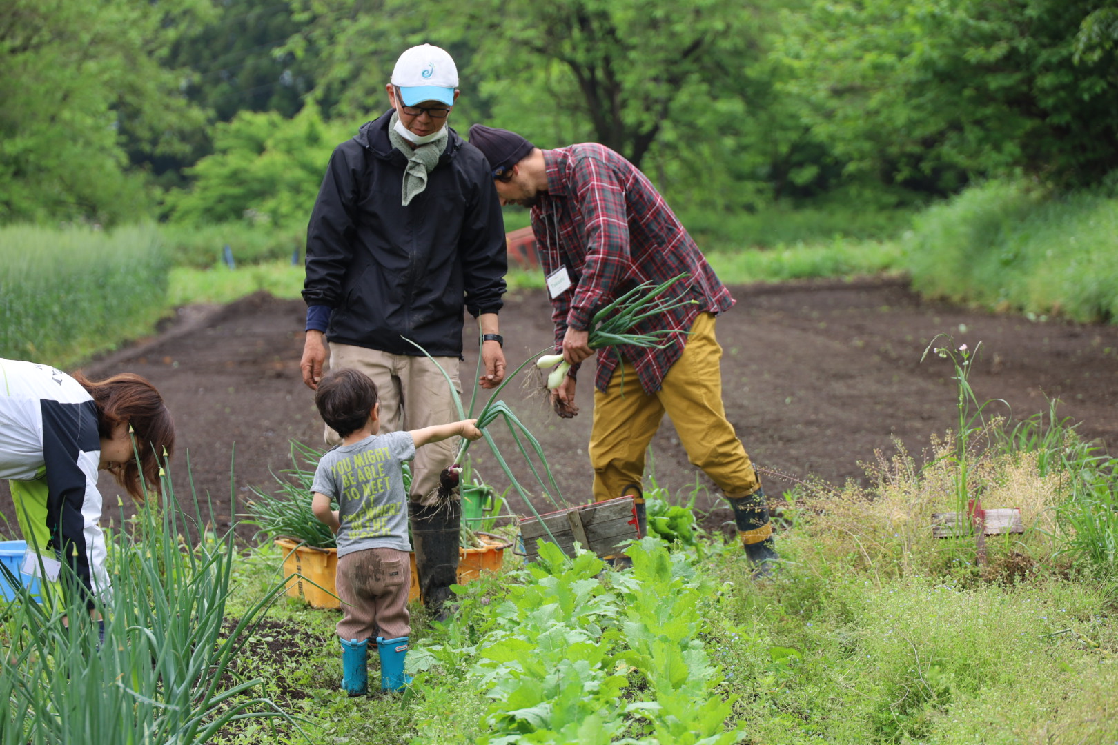 土地をデザインする: パーマカルチャー デザインについて知っておくべきことすべて 庭園