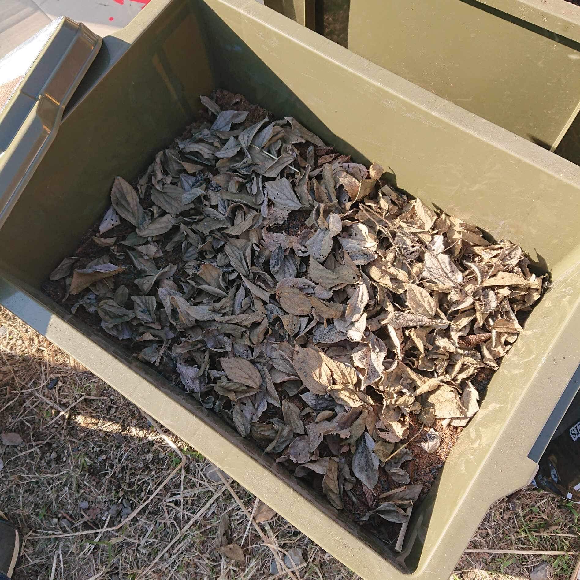 Une révolution en marche : l’abandon de la bêche